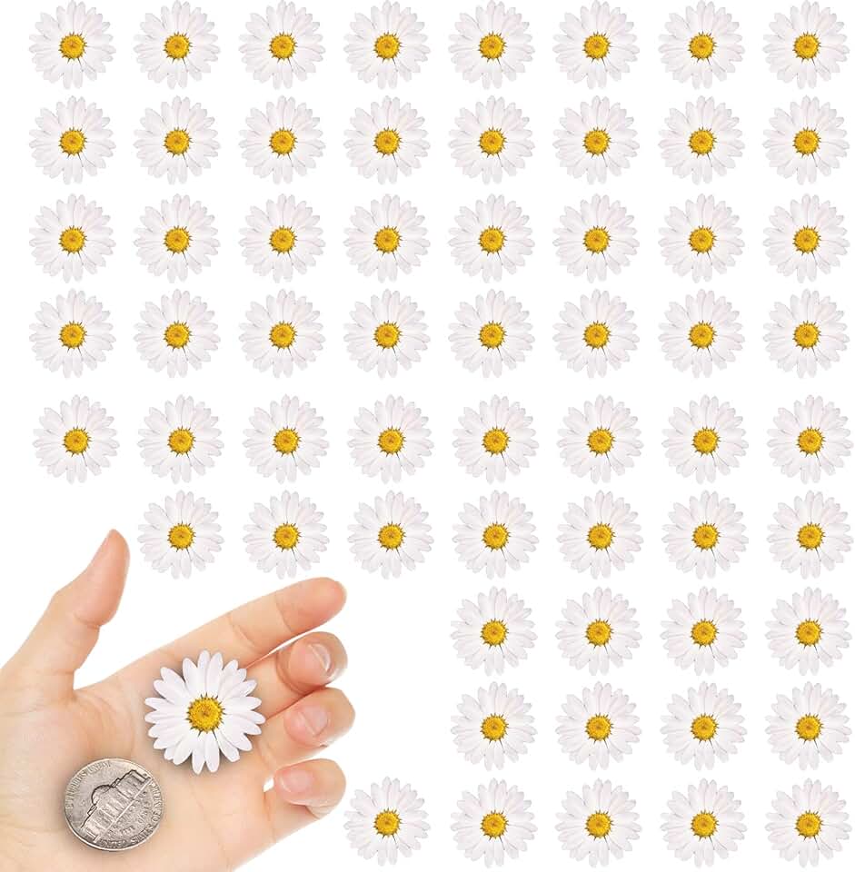 White Little Daisy Dried Flowers for Crafts, 60 Pieces