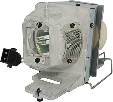 Projector Replacement Lamp with Housing for HD143X and More