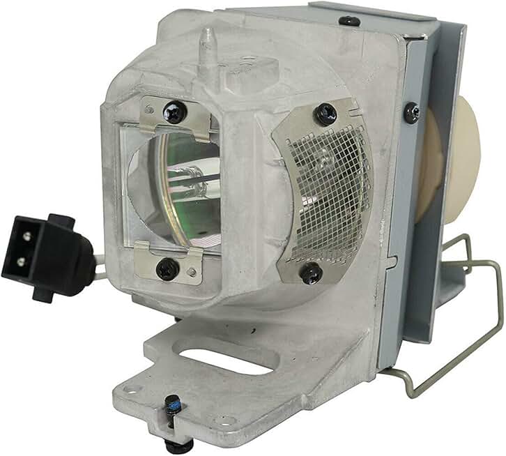 Projector Replacement Lamp with Housing for HD143X and More