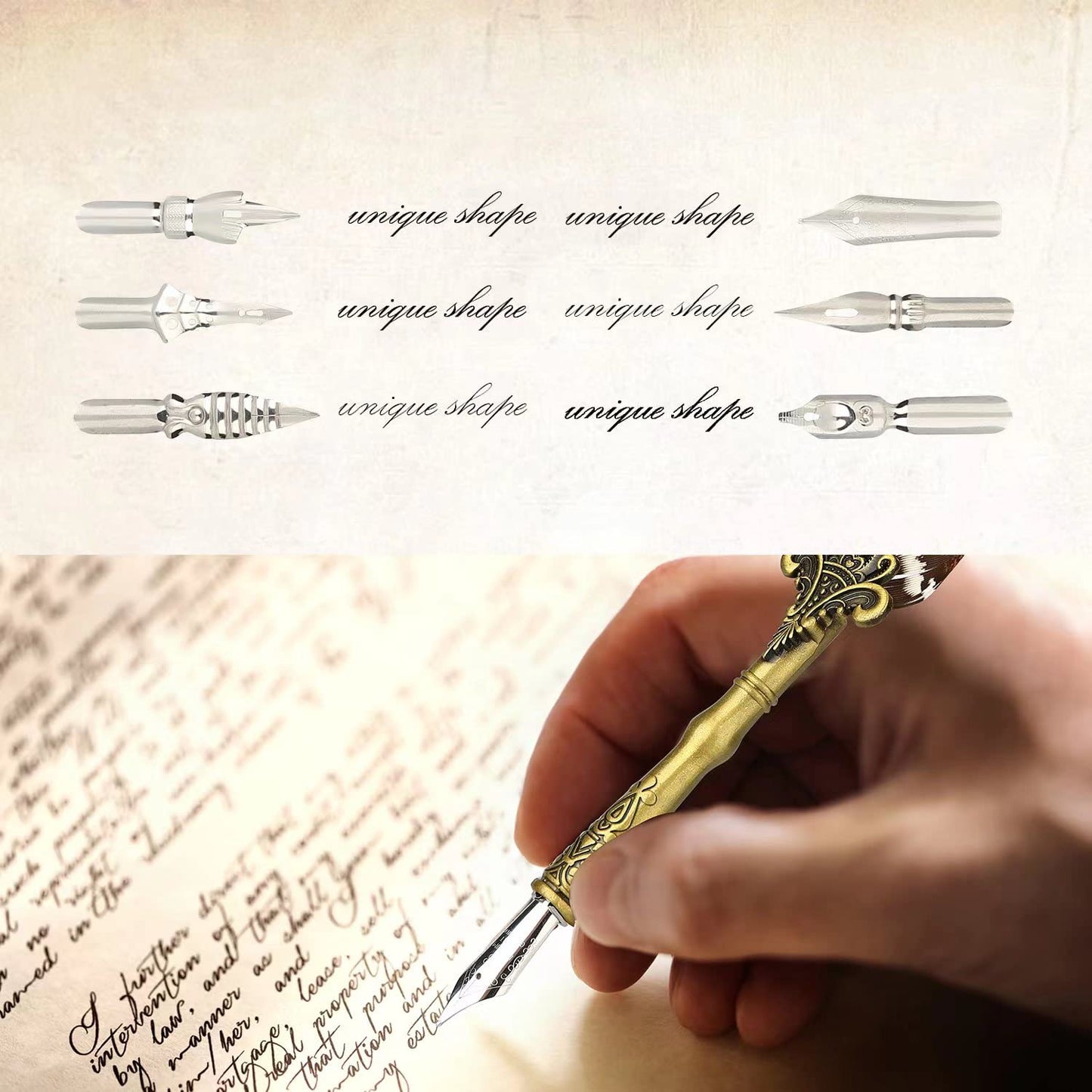 Pen and Ink Set with Nibs for Beginners