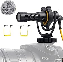 Mini Video Microphone with Wind Shield and Shock Mount