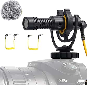Mini Video Microphone with Wind Shield and Shock Mount