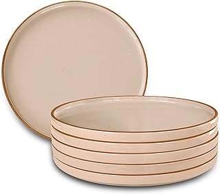 Set of 6 Ceramic Flat Dinner Plates, 10.5 inches