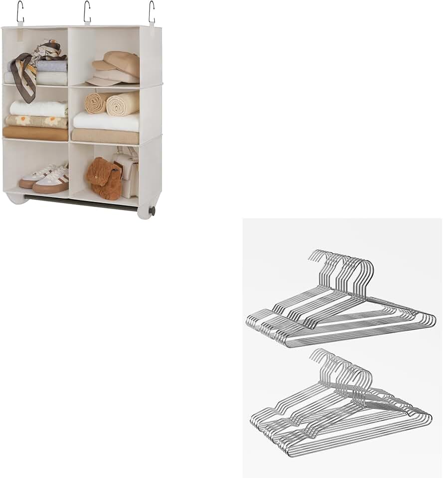 Hanging Closet Organizer with Wire Hangers