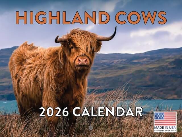 Highland Cow 2026 Calendar with Monthly Pages