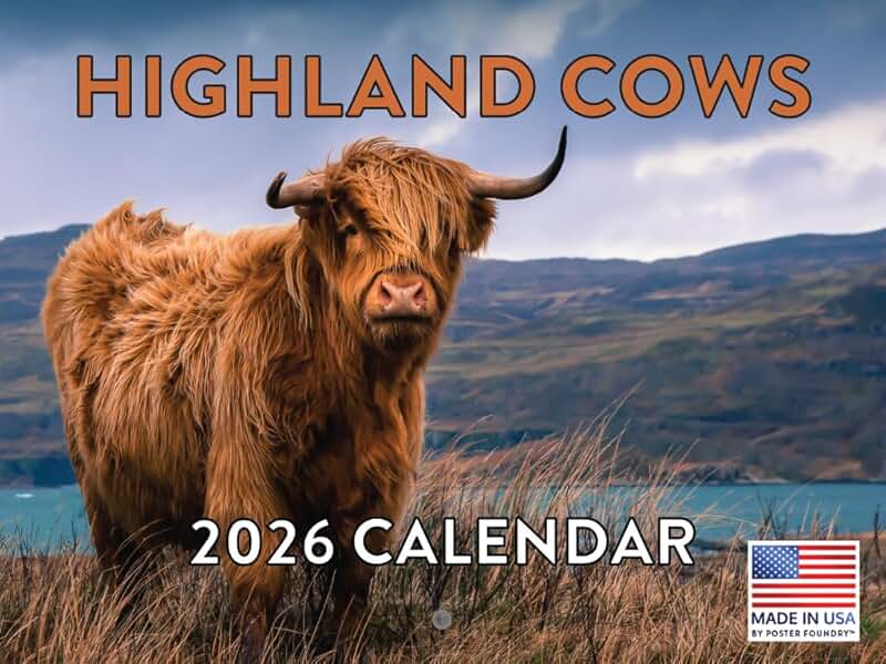 Highland Cow 2026 Calendar with Monthly Pages