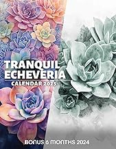 Tranquil Echeveria: Over a Year of Stylish Succulent Designs