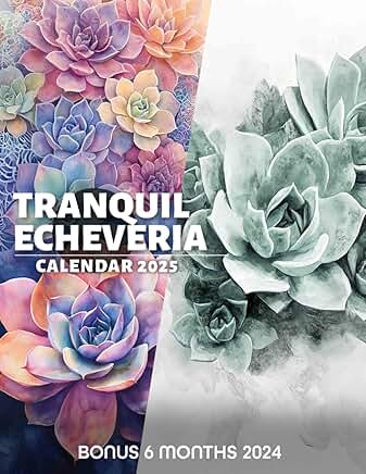 Tranquil Echeveria: Over a Year of Stylish Succulent Designs