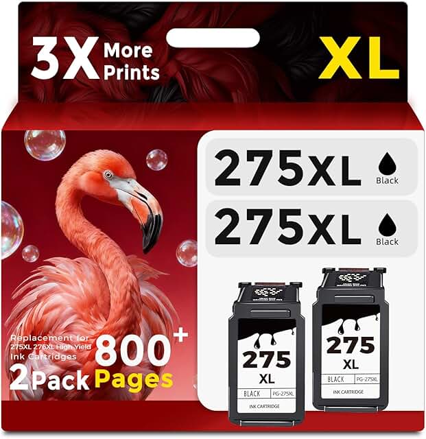 Black ink cartridges for compatible printers (2-pack)