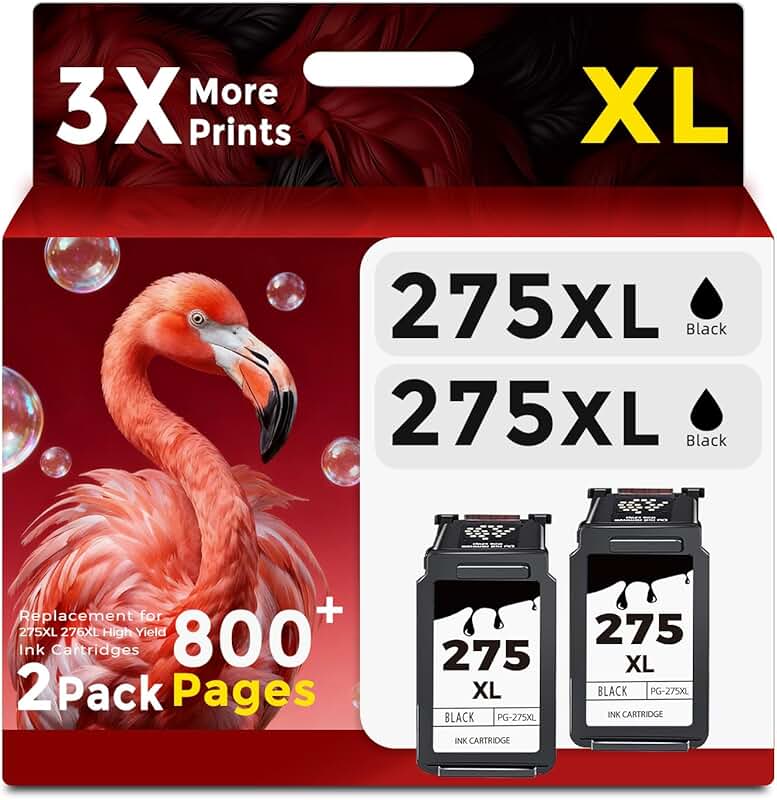 Black ink cartridges for compatible printers (2-pack)