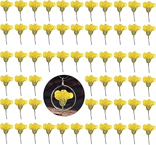 Set of 60 Yellow Dried Rapeseed Flowers for Crafts