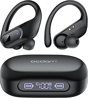 Real-Time Language Translator Earbuds with Noise Canceling