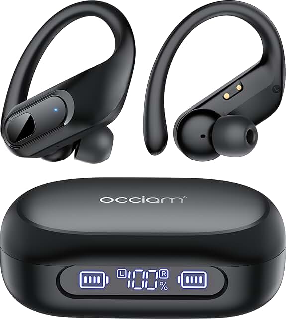 Real-Time Language Translator Earbuds with Noise Canceling