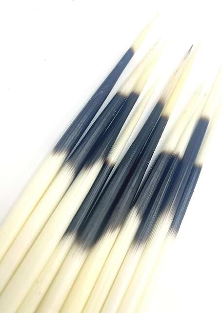Set of 10 Indian-style porcupine quill hair sticks