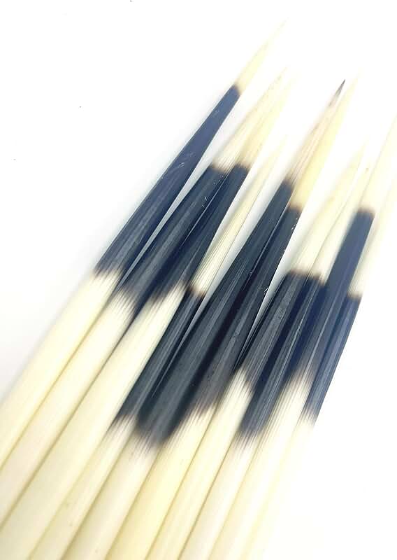Set of 10 Indian-style porcupine quill hair sticks