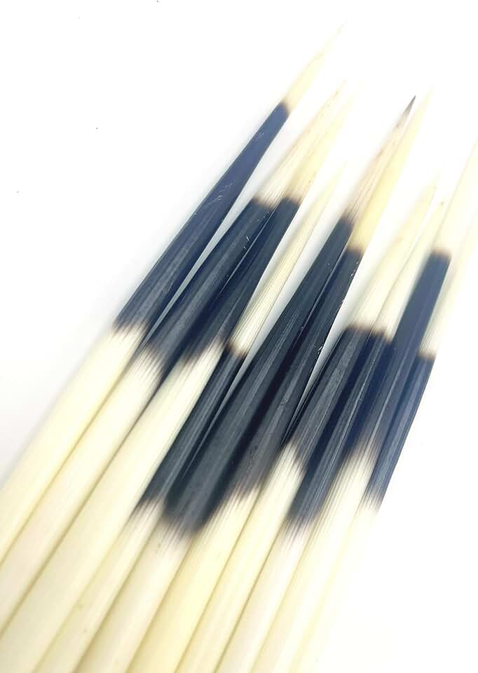 Set of 10 Indian-style porcupine quill hair sticks
