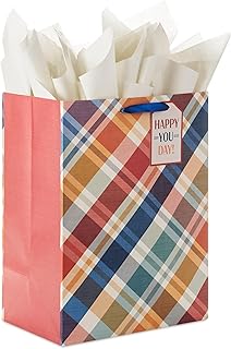 Large plaid gift bag with tissue and tag for special occasions