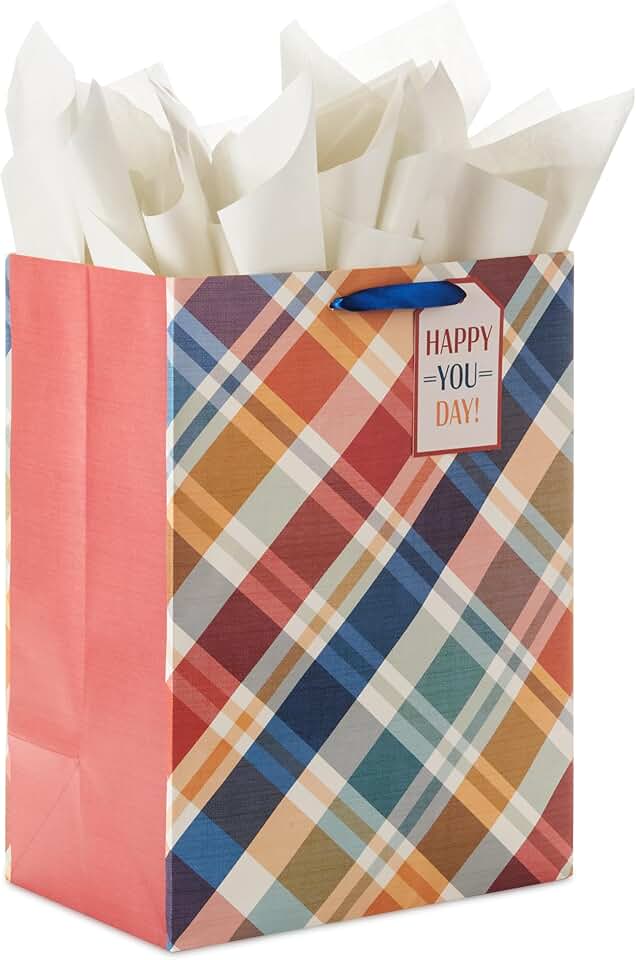 Large plaid gift bag with tissue and tag for special occasions