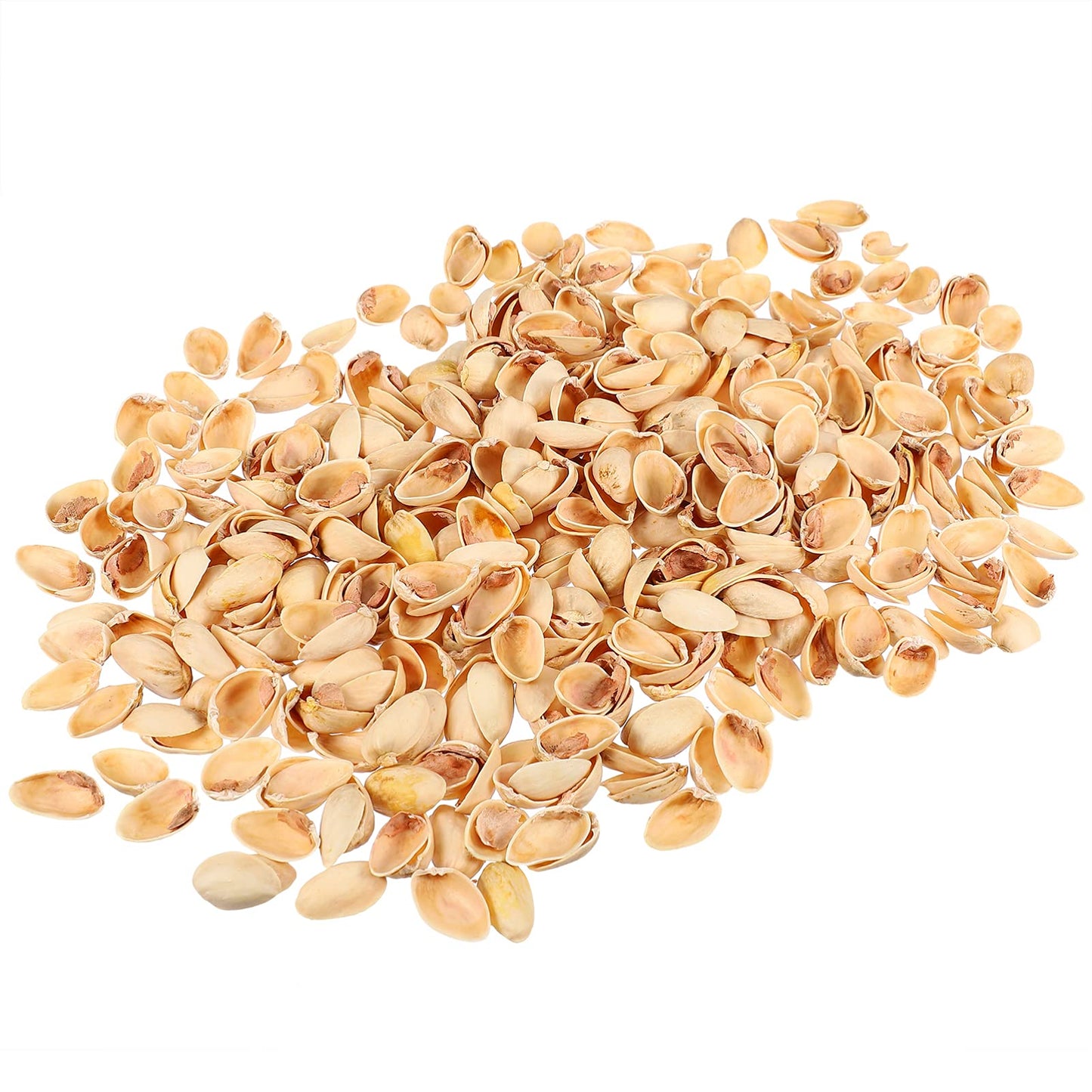 Pistachio Shell Craft Kit for Home and Decor
