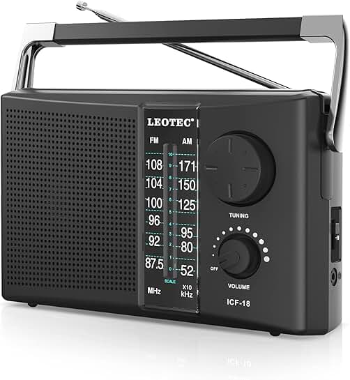 Portable AM FM Radio with Large Speaker and Tuning Dial