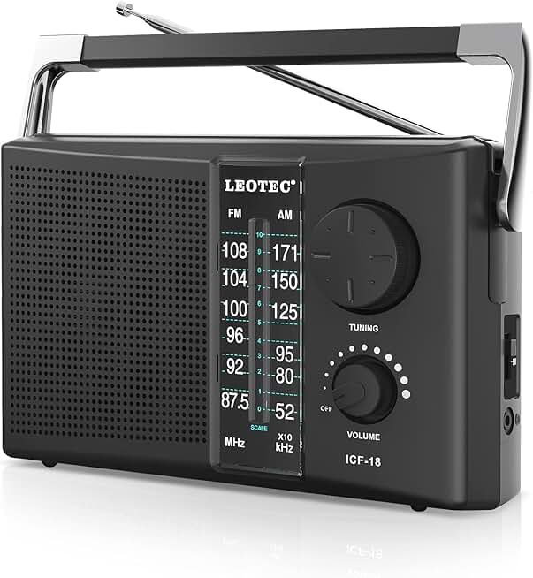 Portable AM FM Radio with Large Speaker and Tuning Dial