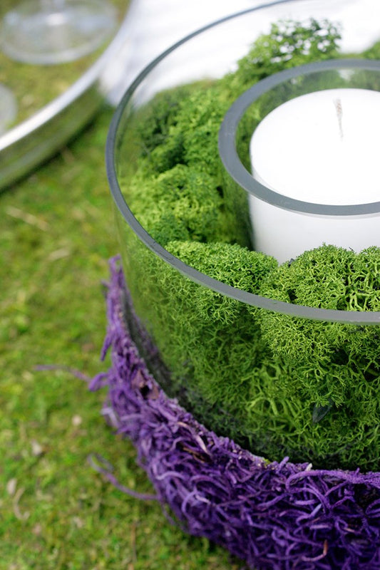 Preserved Forest Green Reindeer Moss 2oz