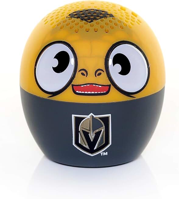 Wireless Bluetooth Speaker with Knights Design
