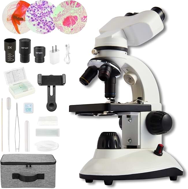 Compound Binocular Microscope for All Ages