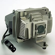 Projector Lamp Bulb with Housing Replacement