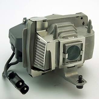 Projector Lamp Bulb with Housing Replacement