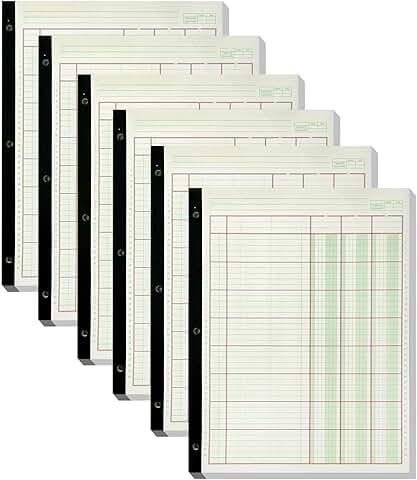 Six 312-Sheet Columnar Ledger Books
