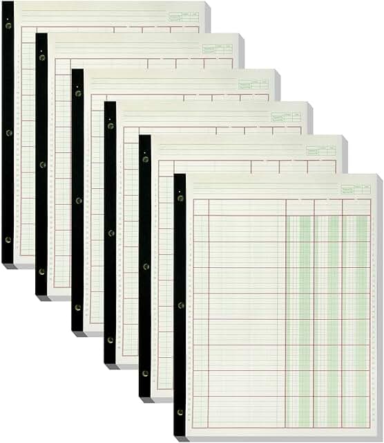 Six 312-Sheet Columnar Ledger Books