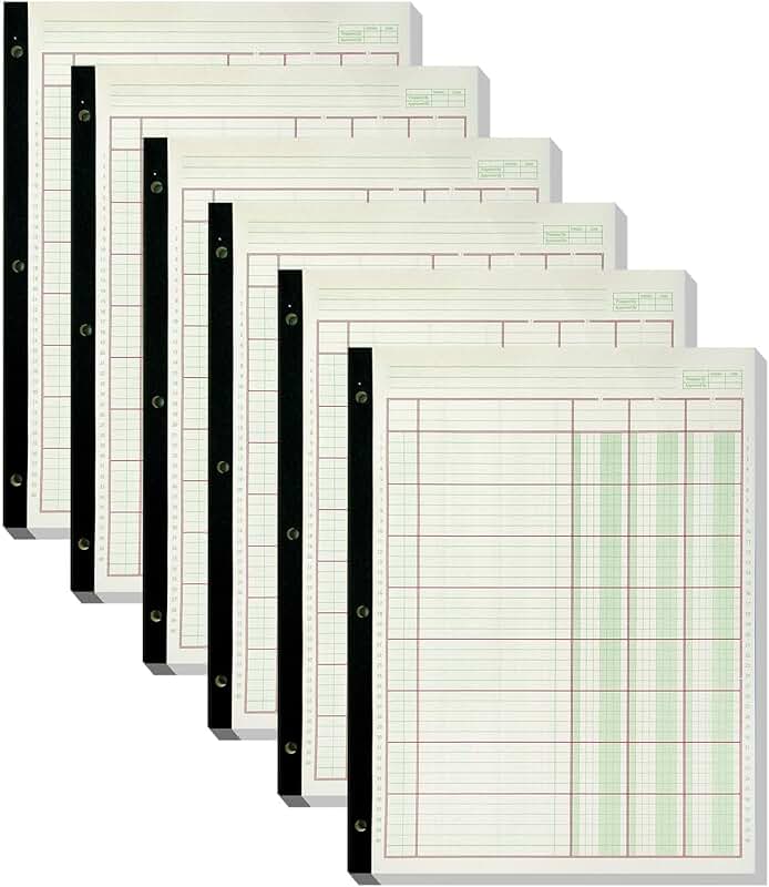 Six 312-Sheet Columnar Ledger Books