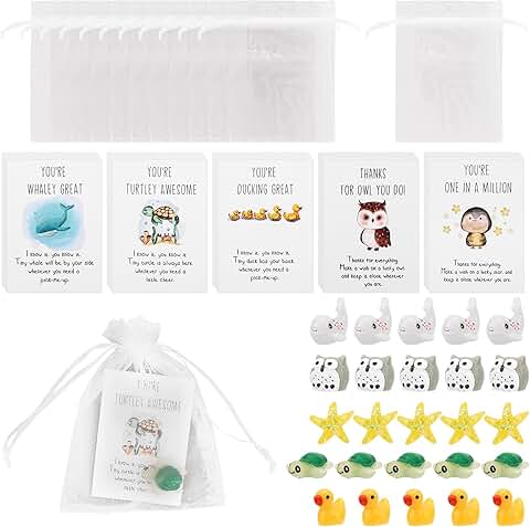 Animal Pun Note Card Gift Set with Resin Toys and Bags
