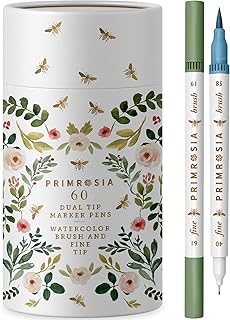 Dual Tip Marker Pens for Art and Illustration
