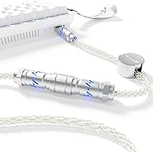 Custom Braided Aviator Cable with RGB Light and Magnetic Nameplate