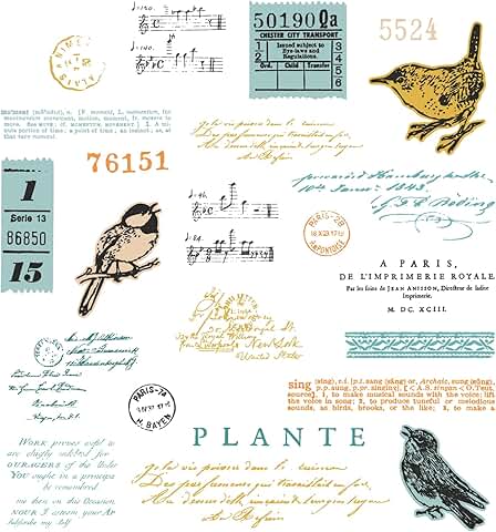 A5 Clear Stamps and Framelits Bird Song