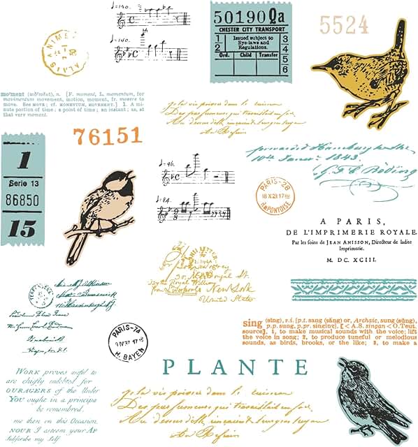 A5 Clear Stamps and Framelits Bird Song