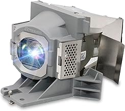 Replacement projector lamp bulb with housing