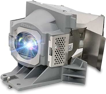 Replacement projector lamp bulb with housing