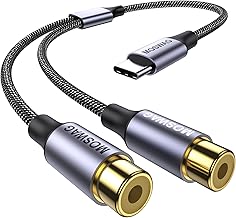 USB C to Dual RCA Stereo Aux Cable