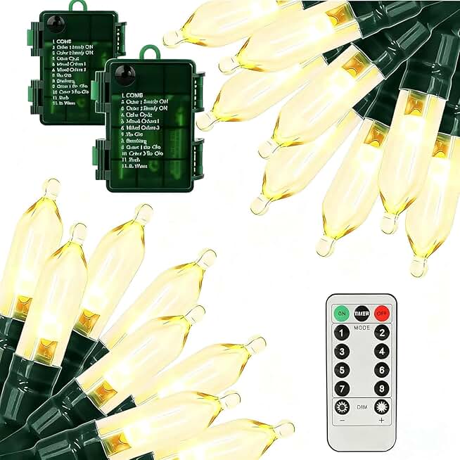 Two 66ft Warm White LED Battery-Operated String Lights