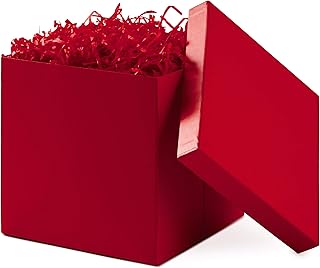 Medium Red Gift Box with Lid and Shredded Paper Fill