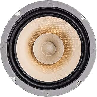 Pair of 6.5 Inch Full Range Speaker Units for DIY Audio