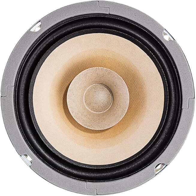 Pair of 6.5 Inch Full Range Speaker Units for DIY Audio