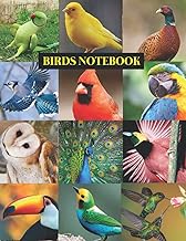 Birds-themed notebook