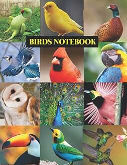 Birds-themed notebook