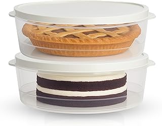 Two 10-Inch Airtight Food Storage Containers with Lids