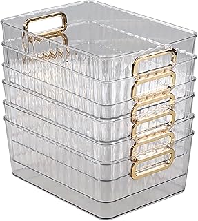 Six Clear Plastic Storage Bins
