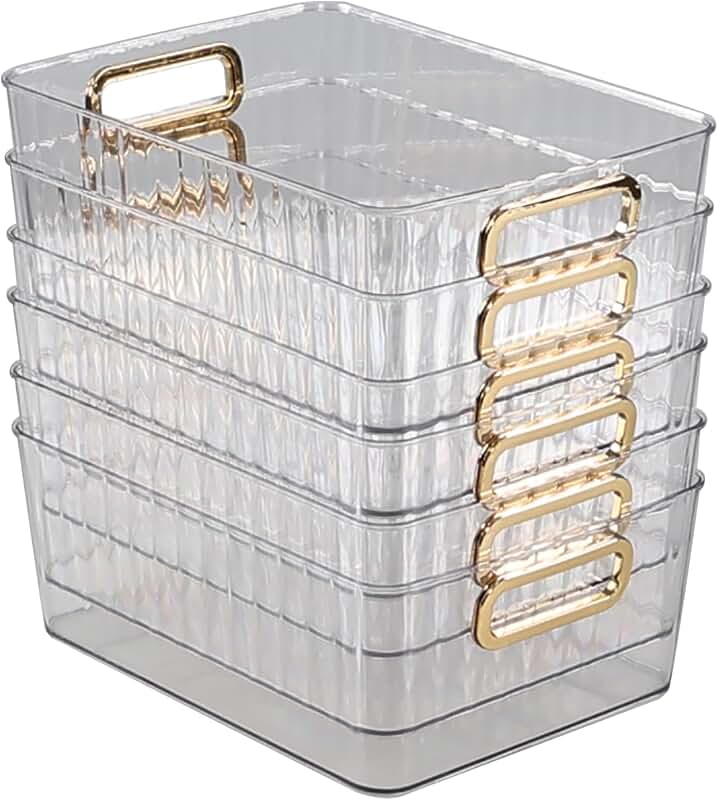 Six Clear Plastic Storage Bins